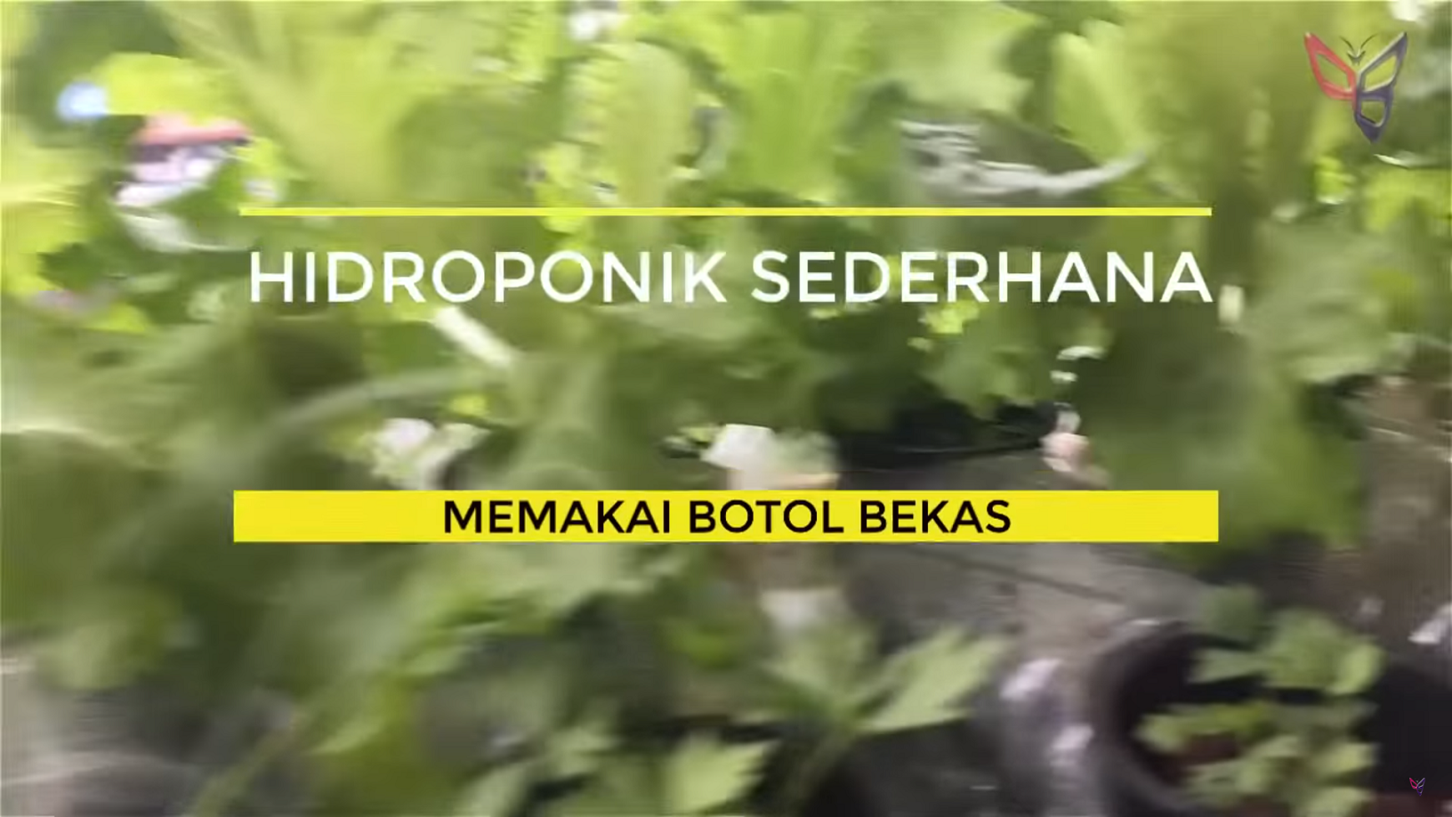 hidroponik botol gantung