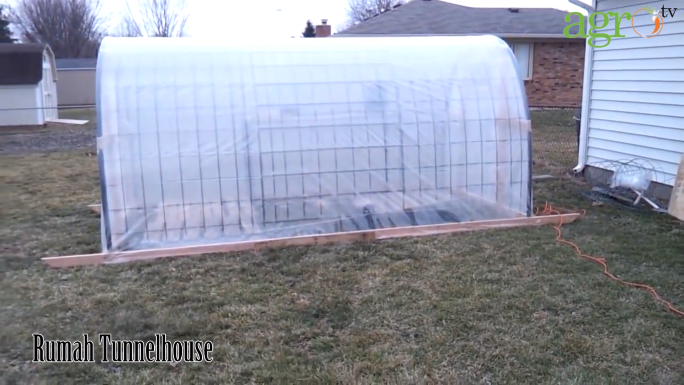 manfaat green house